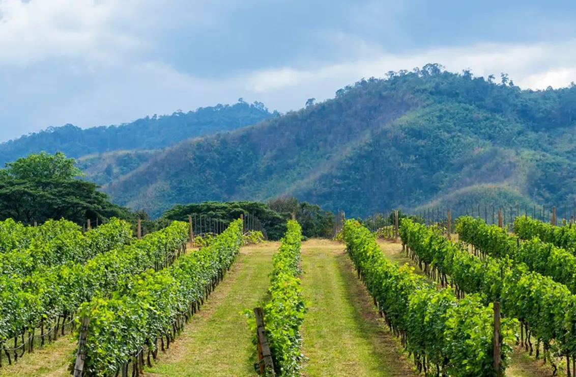 Screenshot 2026 04 26 at 9.39.48 AM