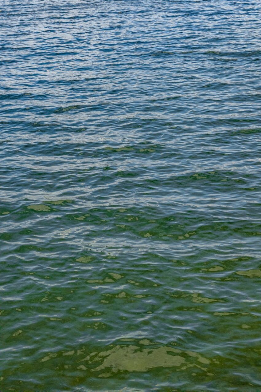 calm water in the river