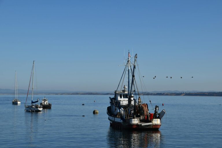 fishing boats on the ocean